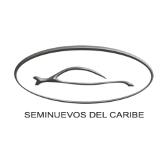 SEMINUEVOS DEL CARIBE S.A. DE C.V.