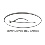 SEMINUEVOS DEL CARIBE S.A. DE C.V.